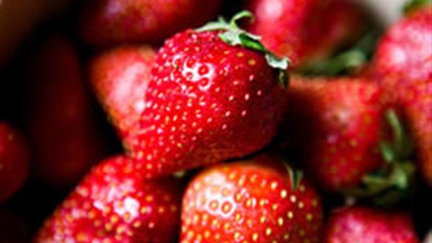 Les fraises du Québec sont sur le marché