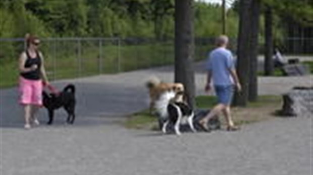 Ste-Thérèse aura son parc à chiens!
