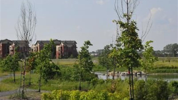 L'espace vert des Loggias sur le parc soulève la grogne
