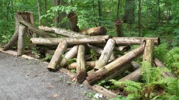 Vandalisme: Boisbriand demande à ses citoyens d'ouvrir l'œil