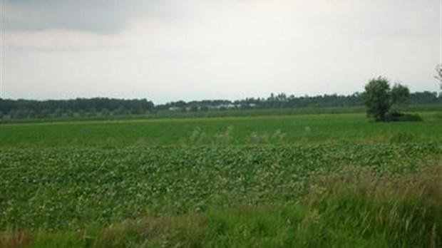 Sainte-Anne-des-Plaines se rapproche du pacte rural