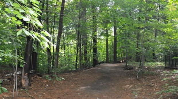 La Ville de Lorraine souhaite acquérir la forêt du Grand Coteau au moyen d'une taxe spéciale