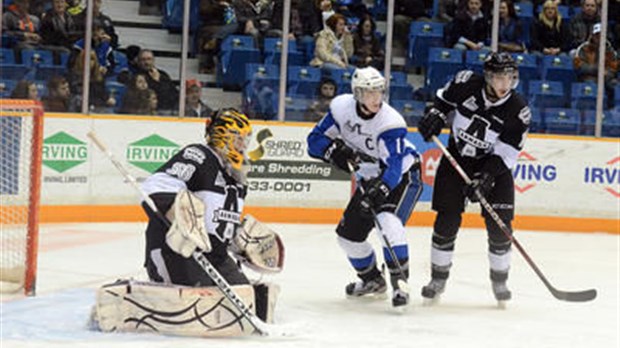 Storm Phaneuf en renfort ?