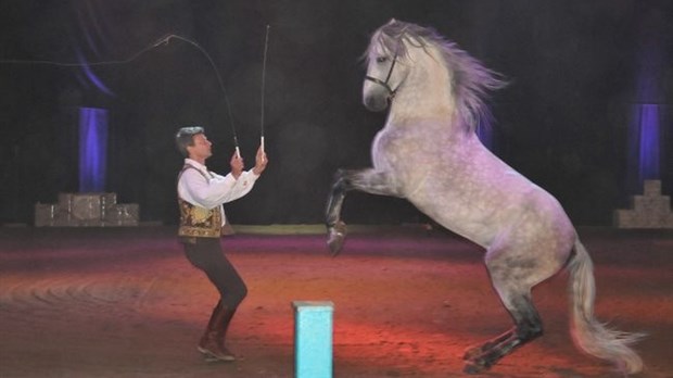 Innocenti Spectacle équestre débarque à Blainville