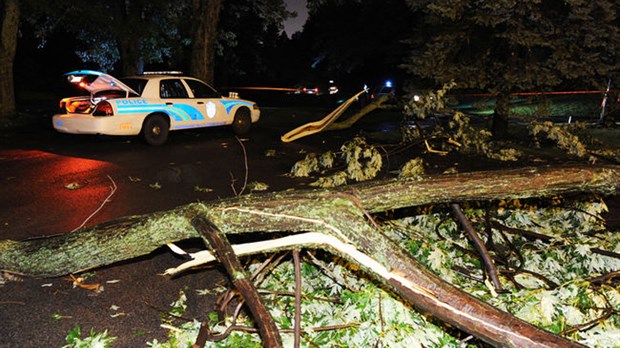 Un golfeur meurt écrasé par un arbre