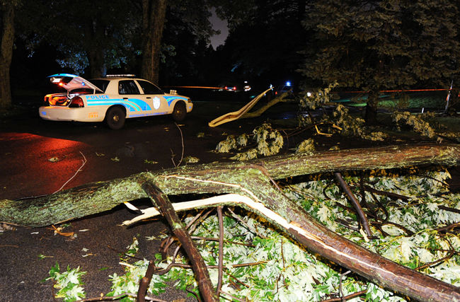 Un golfeur meurt écrasé par un arbre