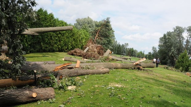 Bénévoles et travailleurs s'activent après la tempête