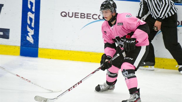 Week-end rose de l'Armada : un franc succès