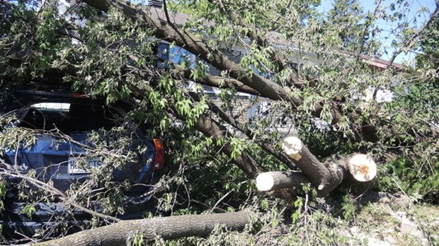 Le nettoyage se poursuit