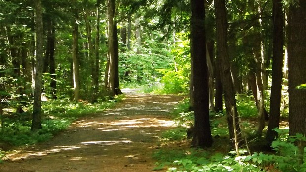 Parc naturel des Méandres : un espace vert à découvrir