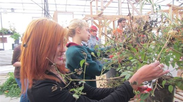 Expérience de travail concrète pour les futurs ouvriers en production horticole du CFAM