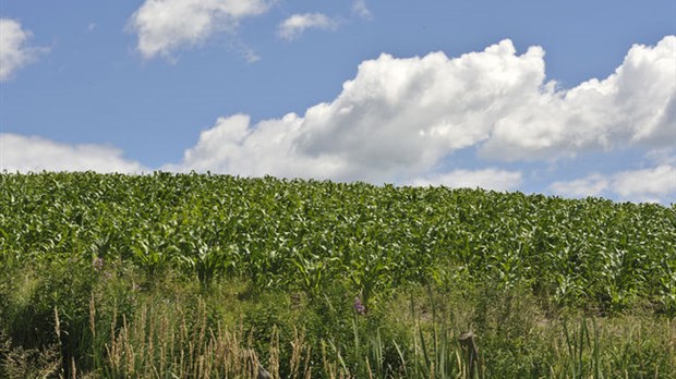 Bonne récolte pour la Financière agricole