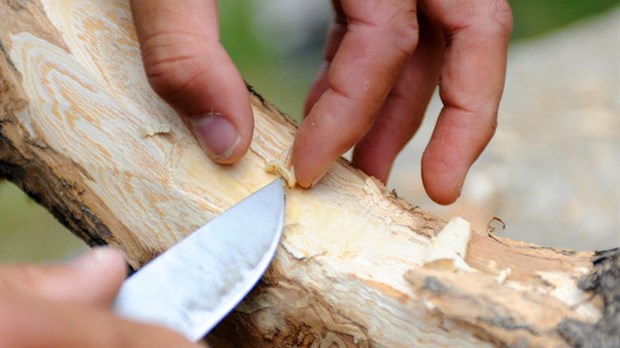 Bois-des-Filion met en place un programme spécial