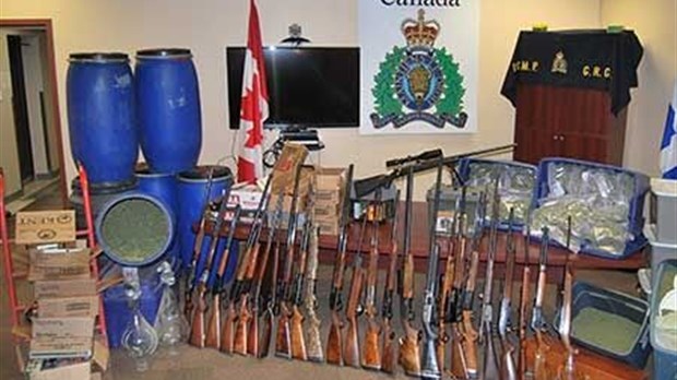 Production de cannabis à grande échelle dans les Laurentides : neuf arrestations