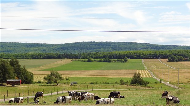 Confier le mandat du dézonage des terres agricoles aux MRC: la députée de Mirabel dit non
