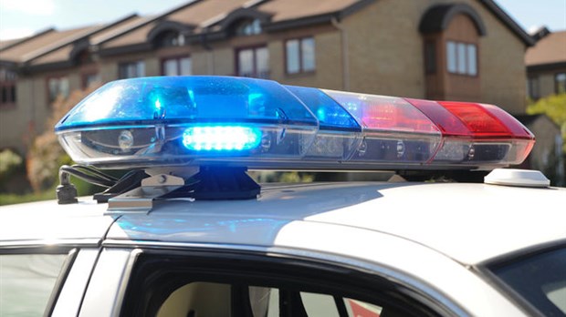 Ils fuient les policiers à bord d'un véhicule volé 