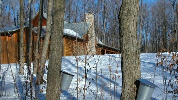 La Tournée des chefs «Goûtez le Québec» s'arrêtera à Mirabel 