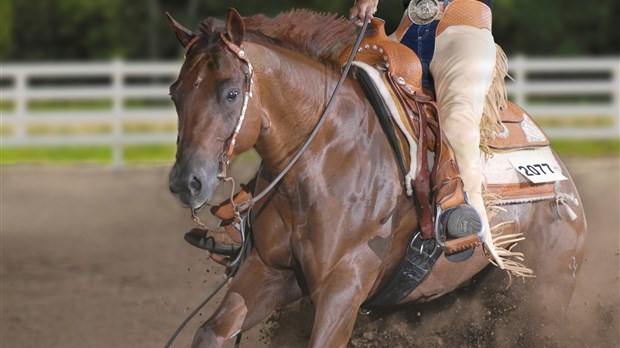 Deux cavaliers de Boisbriand honorés