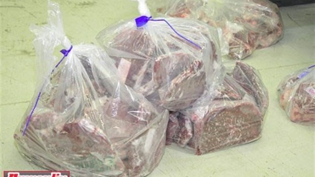 Des chasseurs de Mirabel coupables d'actes de braconnage 