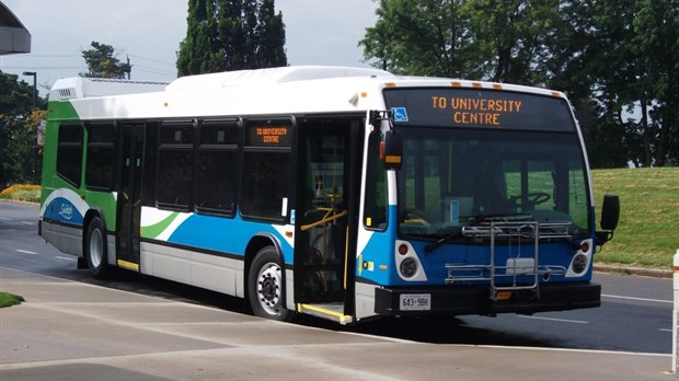 Nova Bus et Guelph Transit s'entendent pour quatre ans