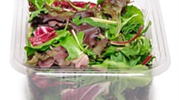 Avis de santé publique - Éclosion d'infection à E. coli possiblement liée à des légumes-feuilles  