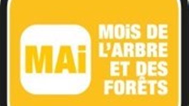 Mois de l'arbre et des forêts 2015 - De nombreuses activités dans le cadre du mois de l'arbre et des forêts