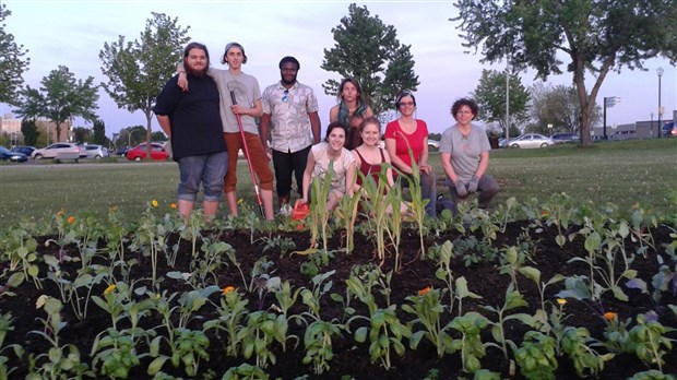 Début d'un aménagement comestible au Collège Lionel-Groulx