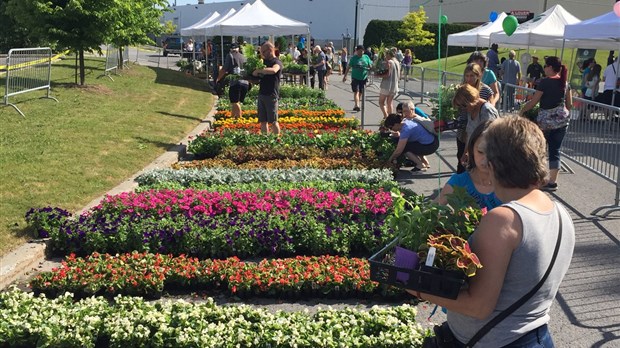 Journée ville fleurie : la ville a offert 4 400 plants de végétaux aux Filionoises et Filionois