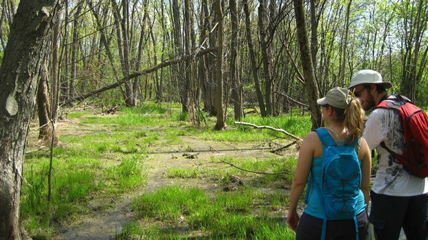 Les aventuriers de l’île mystérieuse : des éco-excursions gratuites en rabaska pour les filionois