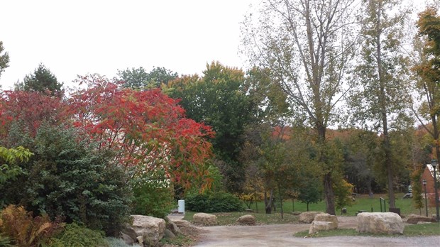 Vive les couleurs au bois de Belle-Rivière