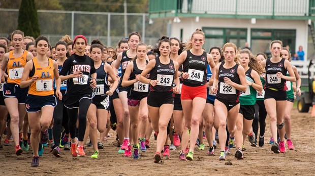 Nordiques du Collège-Lionel-Groulx: Les filles en voie d’être sacrées championnes canadiennes en cross-country! 