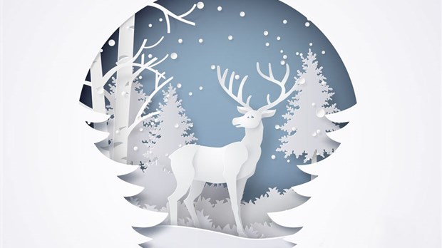 Que faire à Blainville durant le temps des Fêtes?