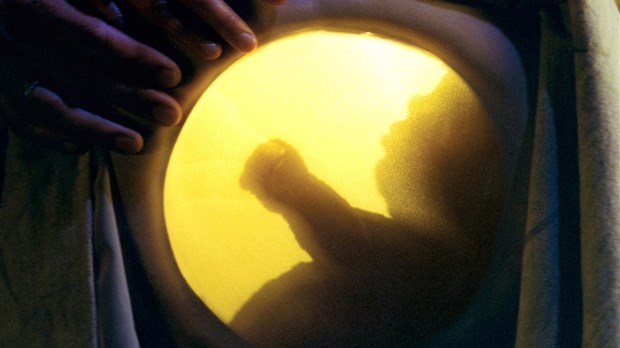 Spectacle Nombril : la vie de bébé expliquée aux enfants 