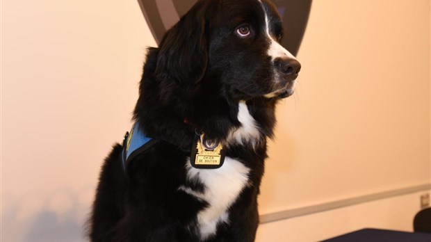 Le Service de police intermunicipal compte une nouvelle recrue