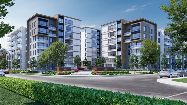 Le San Leon : le début des travaux enfin officialisé