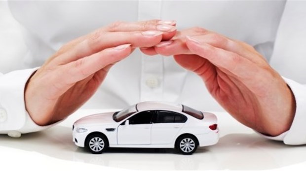 L’AEC Assurance de dommages du Cégep Gérald-Godin : votre carrière à portée de main