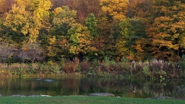 Venez admirer la saison des couleurs au Parc du bois de Belle-Rivière