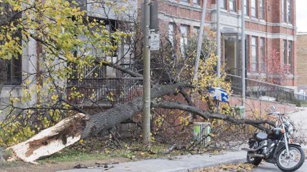 Plus de routes fermées en lien avec la tempête