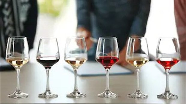 Dégustation de vins 