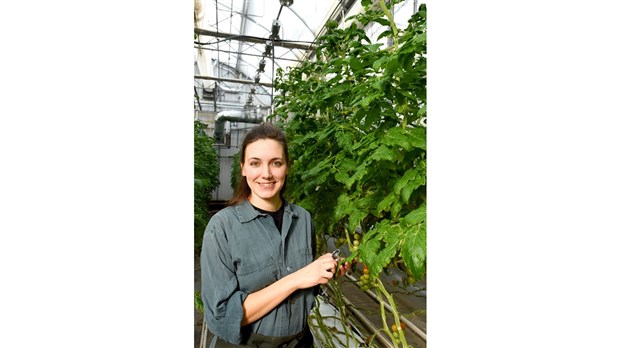 Étudier à l’ITA : demande d’admission  pour l’automne 2019