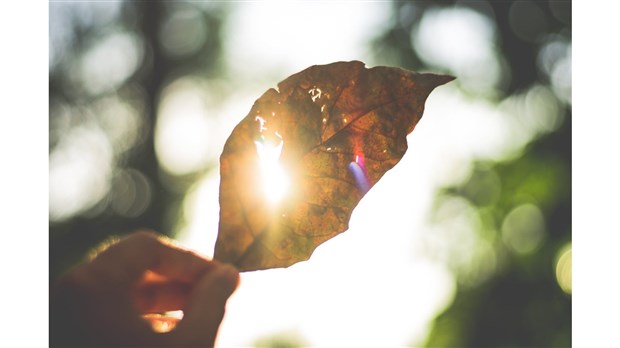 Rosemère dévoile sa nouvelle campagne de  sensibilisation