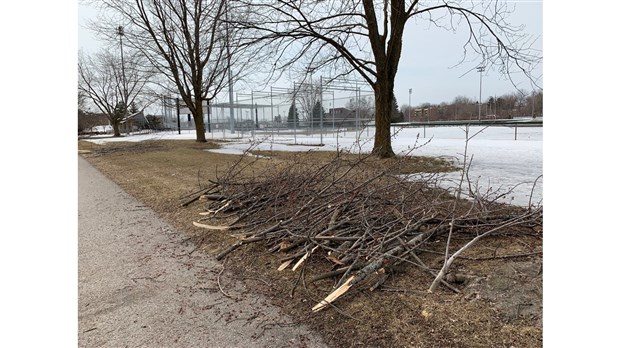 Grande opération de collecte de branches à Sainte-Thérèse