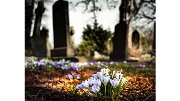 Honorons la mémoire des personnes  décédées ou blessées au travail 
