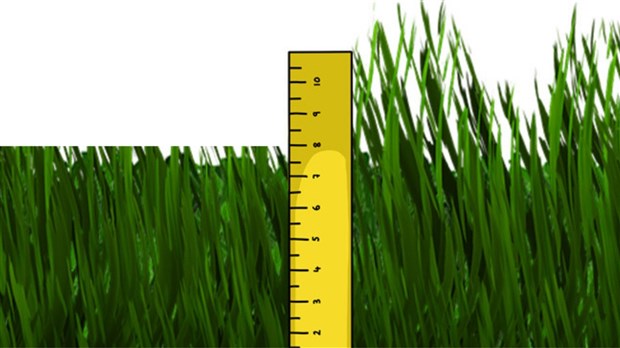 Réduisez vos déchets avec l’herbicyclage 