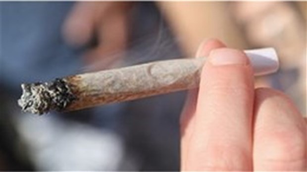 Cet été, réduisez les risques pour la santé associés à la consommation de substances 