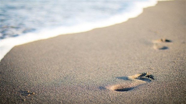 Réouverture de la plage du lac Raynaud du Domaine Saint-Bernard