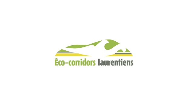 Randonnée éco-connectée : partir à la découverte de la connectivité des aires protégées 