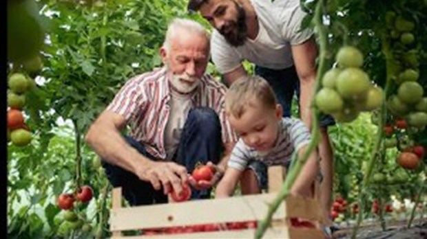 La première édition de la Fête des Récoltes, ce samedi à Mascouche 