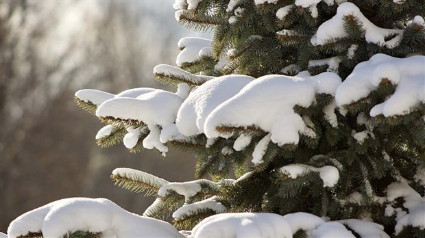 Un mois de janvier à l'abri des froids extrêmes