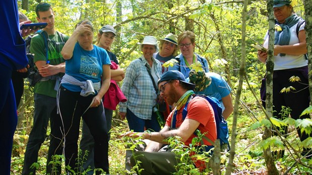 Table Forêt Laurentides a tiré son épingle du jeu